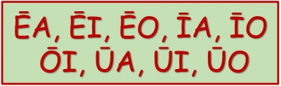 APPLICATION DU MACRON DANS LES MOTS COMPOS&Eacute;S DE DEUX VOYELLES (17/11/2022)