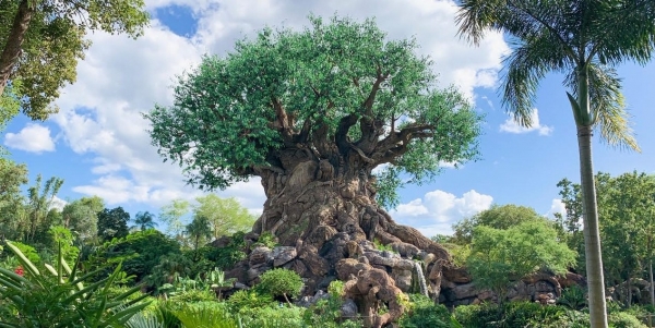 Haakakai o te ati Pakeekee &ndash; L&eacute;gende de la tribu Pakeekee - Tahuata