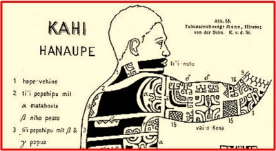 Dessin ex&eacute;cut&eacute; par Kahi pour Karl von den Steinen en 1898 (page 100)  Karl von den Steinen - Les Marquisiens et leur art - Tome 1 : Le Tatouage - Mus&eacute;e de Tahiti et des &icirc;les -Tahiti - 2005